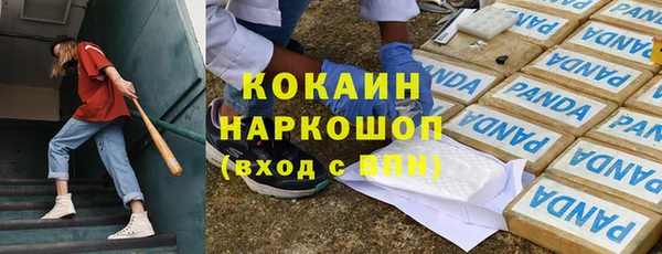 шишки Болотное