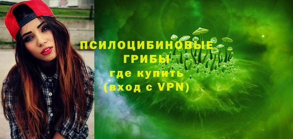 2c-b Болохово