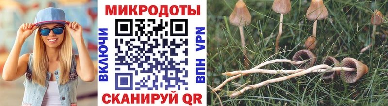 Купить  Дятьково  Псилоцибиновые грибы ЛСД 